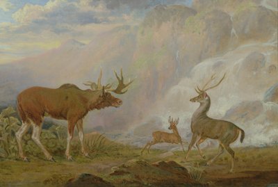 Elch, Antilope und Hirsch des Earl of Orford von George Garrard
